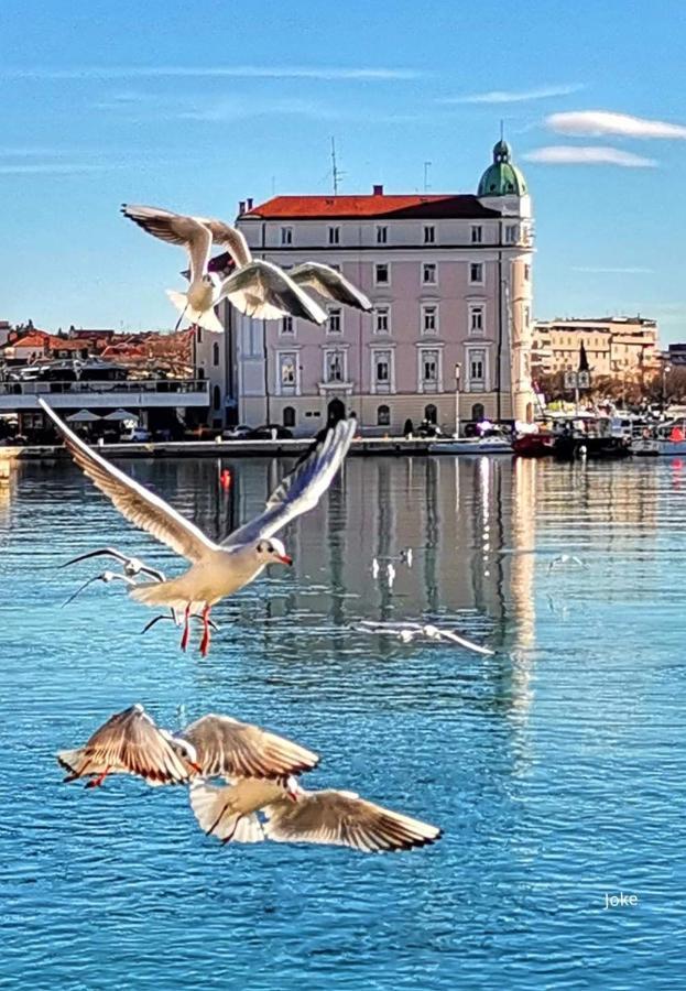 Luxury Apartment Spalato 2 Dış mekan fotoğraf
